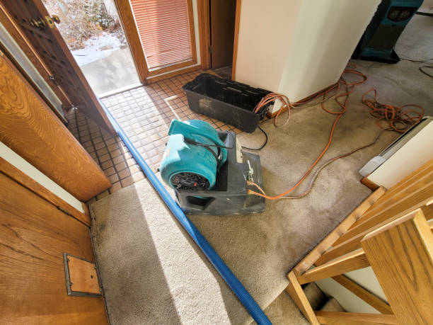 Best Ceiling water damage repair  in Beaver Dam, KY