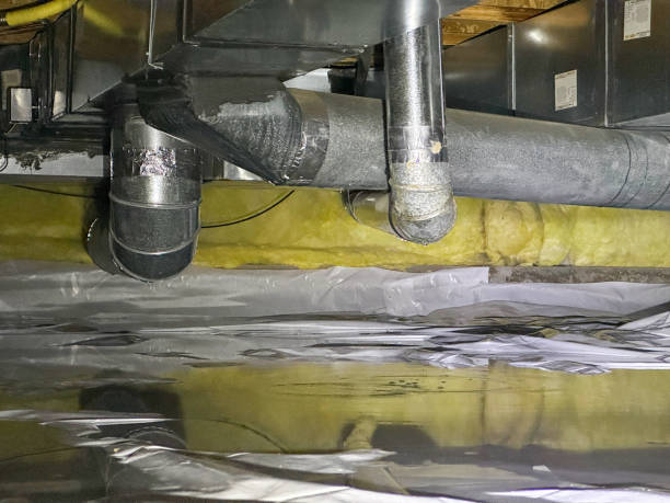 Best Professional water damage repair  in Beaver Dam, KY