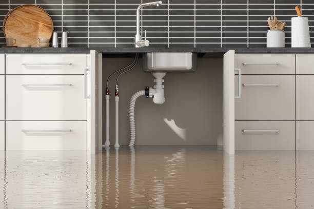 Best Commercial water damage restoration  in Beaver Dam, KY