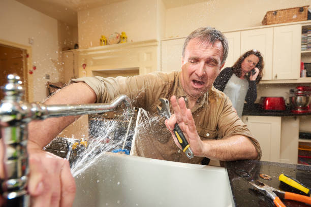 Best Basement water damage restoration  in Beaver Dam, KY